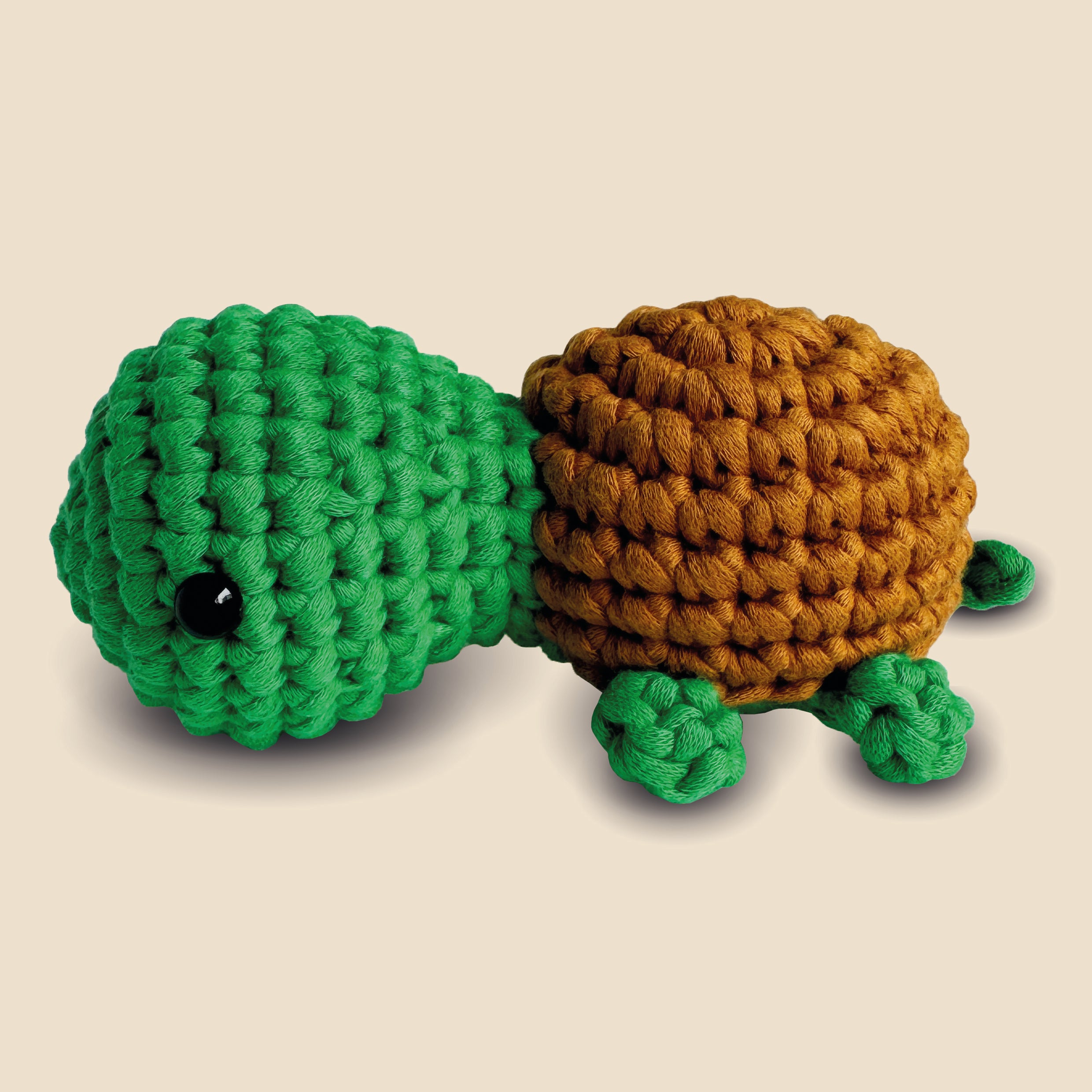 2.Schildkroete_seite.jpg