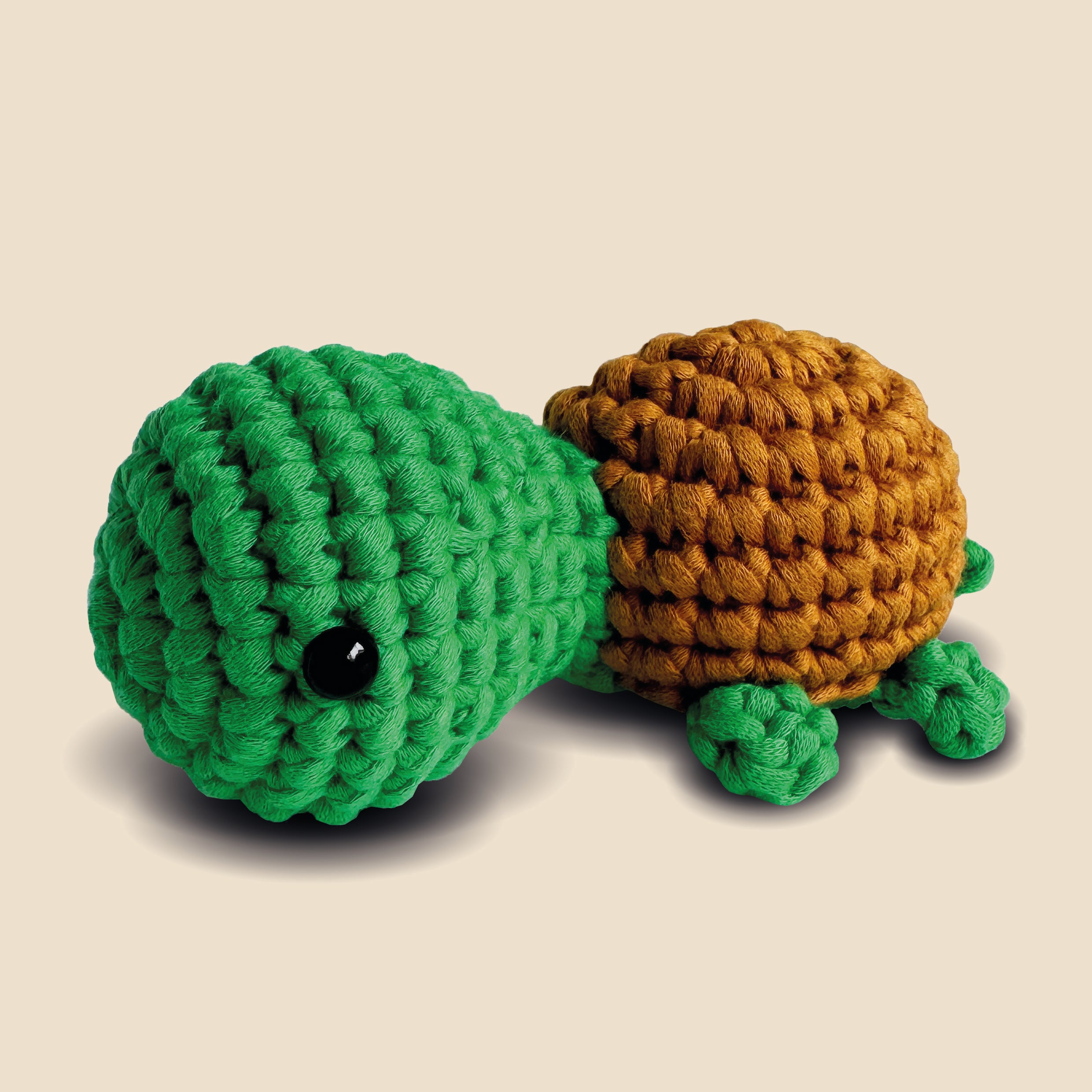 2.SchildkroeteohneText.jpg