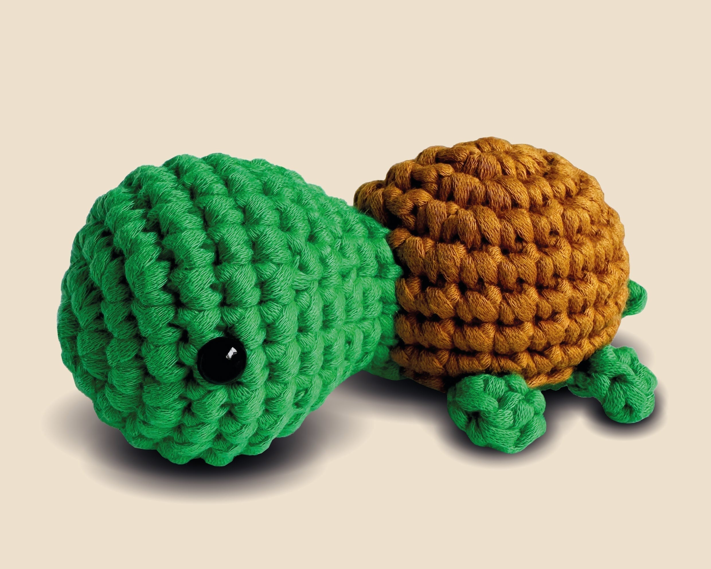 Milo die Schildkröte