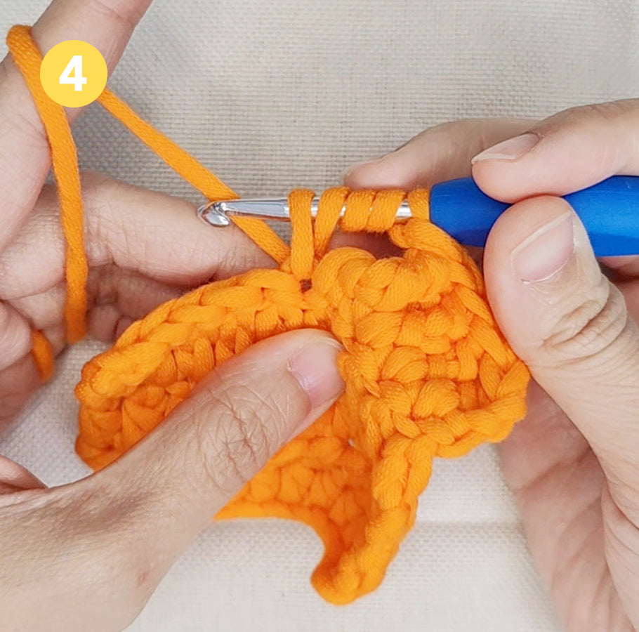 Fünf Schlaufen erkannt