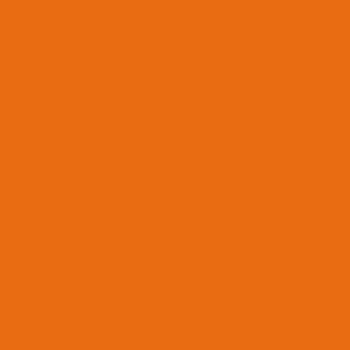 Dinosaurier_Quadrat_Blanko_orange.jpg